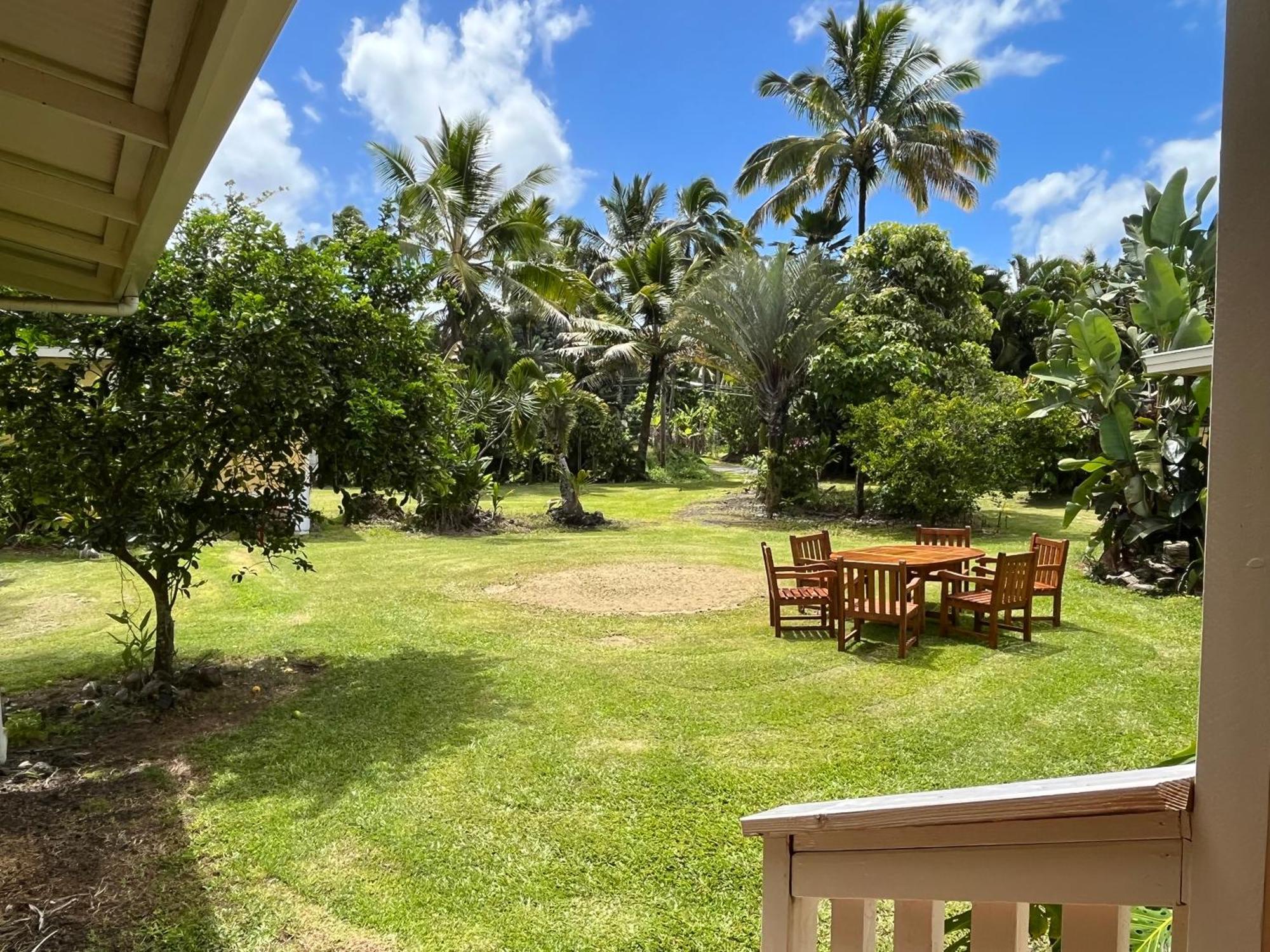Aaron'S Cottage Hilo Extérieur photo